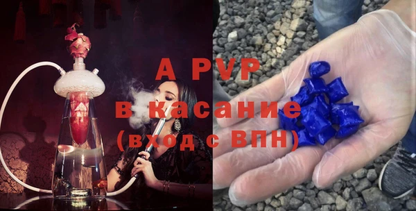 PSILOCYBIN Надым