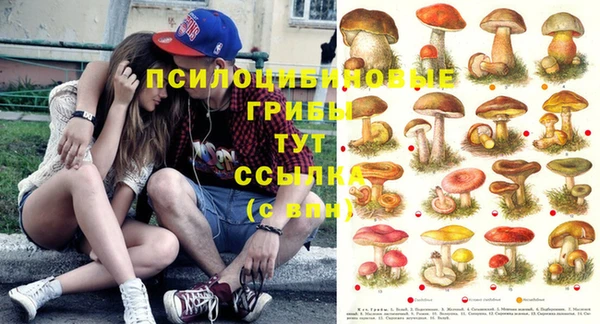 сатива Вязники