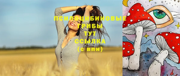 PSILOCYBIN Надым