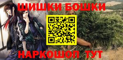 сатива Беслан