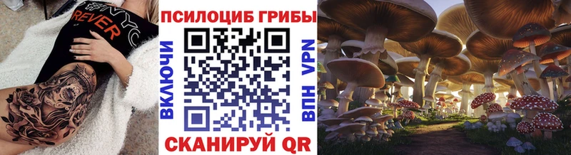 Псилоцибиновые грибы мицелий ОМГ ОМГ онион Ярцево что такое наркотик