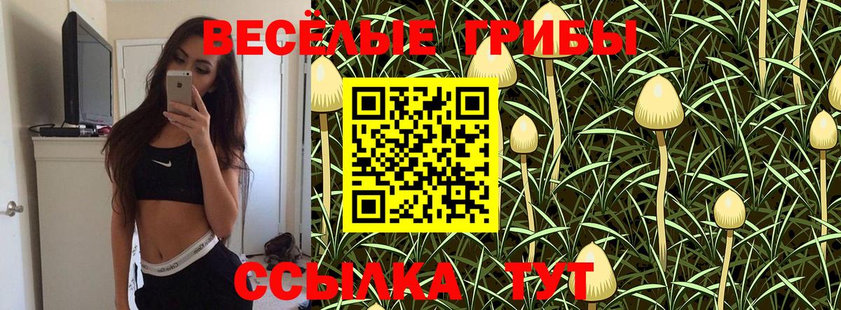 Псилоцибиновые грибы Psilocybe Ярцево