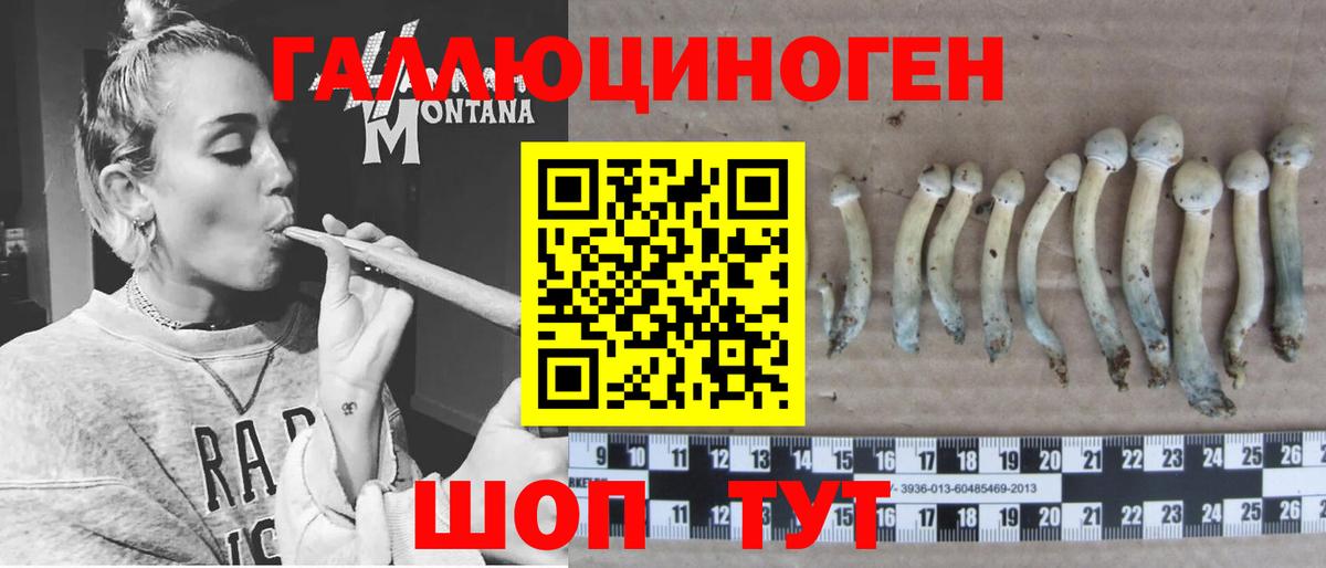 Ярцево  Галлюциногенные грибы GOLDEN TEACHER  Вход с VPN 